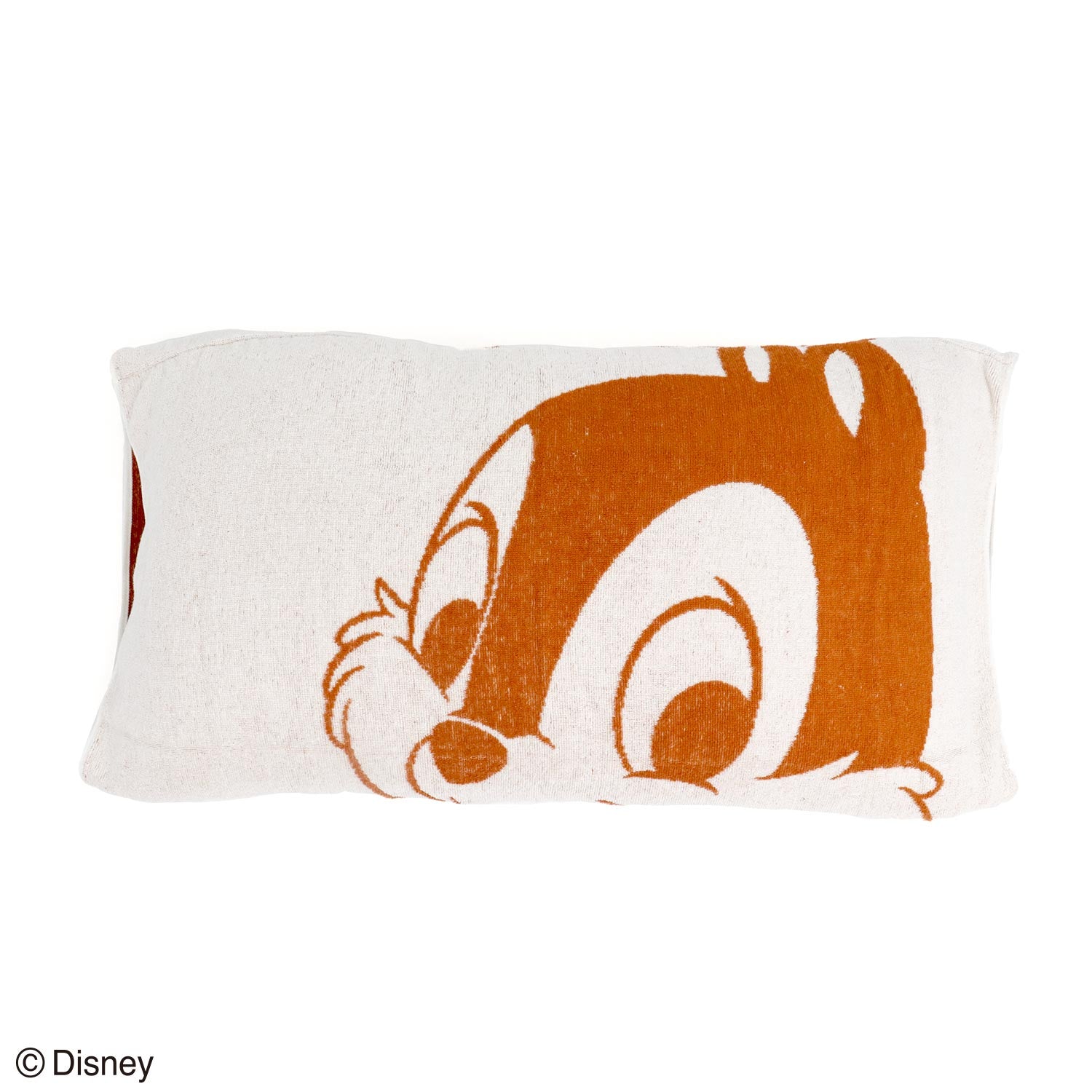 『Disney』スリープウェル のびのびピローケース チップ&デール